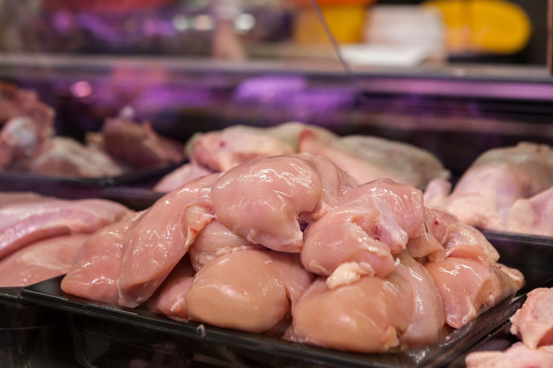 Professional butchery counter displaying fresh halal meat and poultry