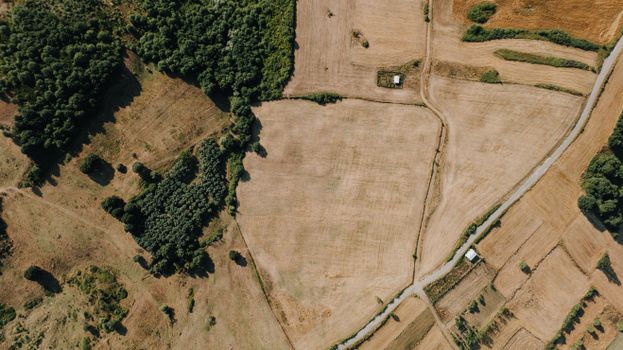 Lüleburgaz'da arsa incelemesi sırasında parsel sınırları ve çevre altyapısı değerlendiriliyor
