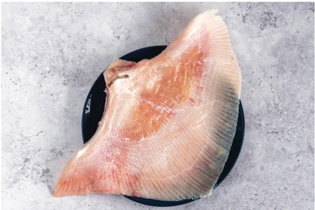 Skate Wings