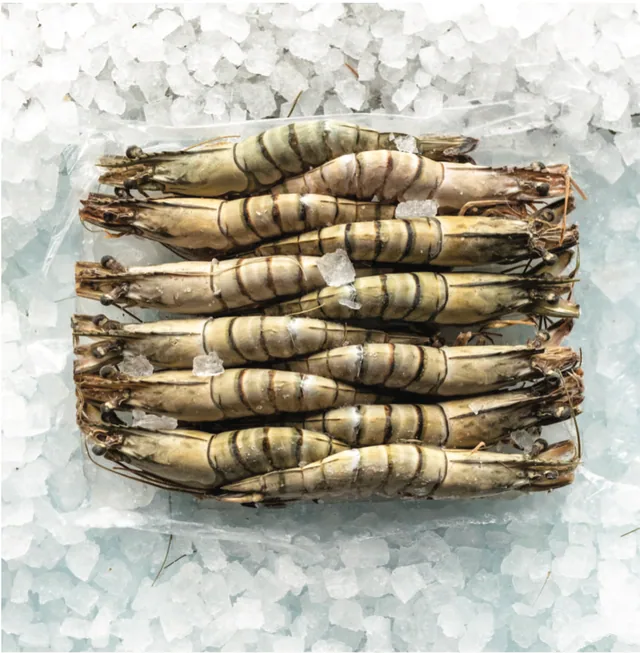 Head On Shell ON Black Tiger Prawns IQF 1 Kg Pack