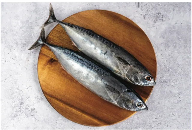 Bonito