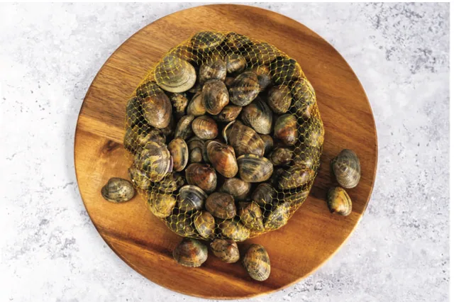 Fresh Clams