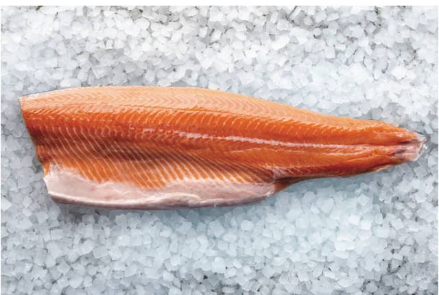Scottish salmon fillet from the Akdeniz catalogue