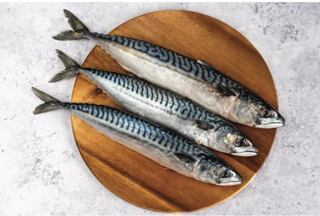 Mackerel